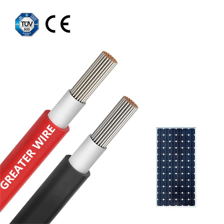 PV Wire 6mm (per foot)